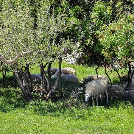 Tatil Evi Dubrove By Interhome